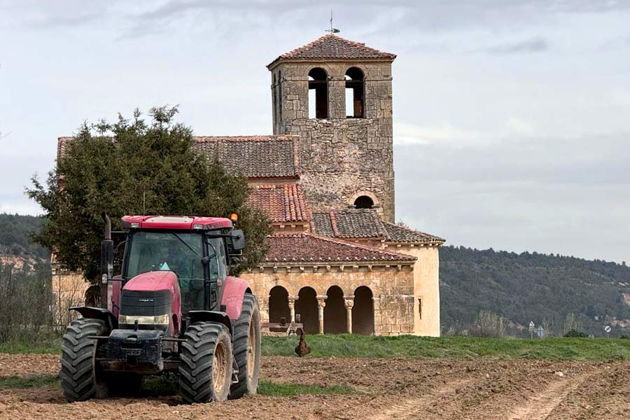 Lavanda de Pedraza